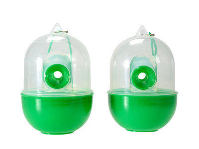 Rentokil Wasp Trap (Twin Pack) – – Now available at MTN Shop UK.