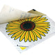 Rentokil Advanced Window Fly Traps (Pack 4)