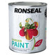 Ronseal  Garden Paint Moroccan Red 750ml
