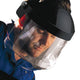 Centurion Classic Chin Guard Face Screen