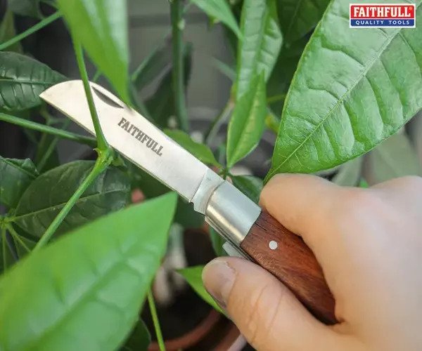 Budding & Pruning Knife - imagen 3