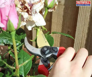 Prof Bypass Secateur - imagen 2