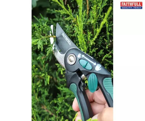  Bypass Secateurs  - imagen 2