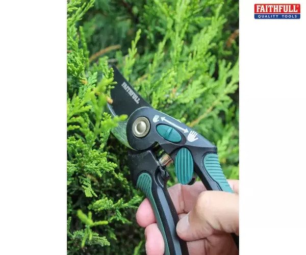  Bypass Secateurs  - imagen 3
