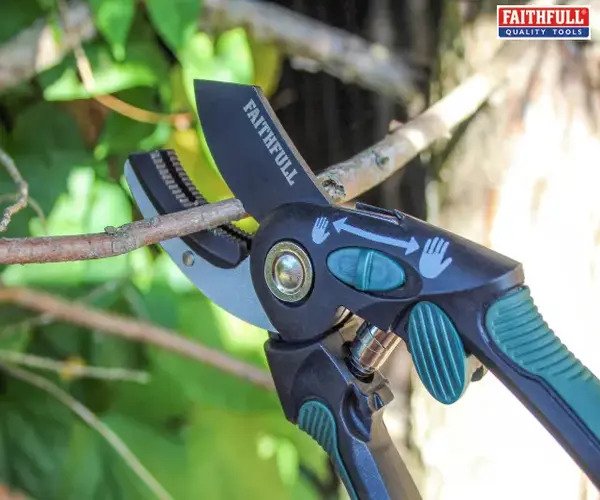 Anvil Secateurs - imagen 2