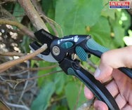 Anvil Secateurs - imagen 3