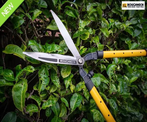 Telescopic Hedge Shears - imagen 3