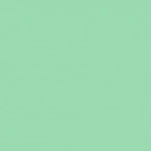 Lee Filter - Green 219 – – Now available at MTN Shop UK.