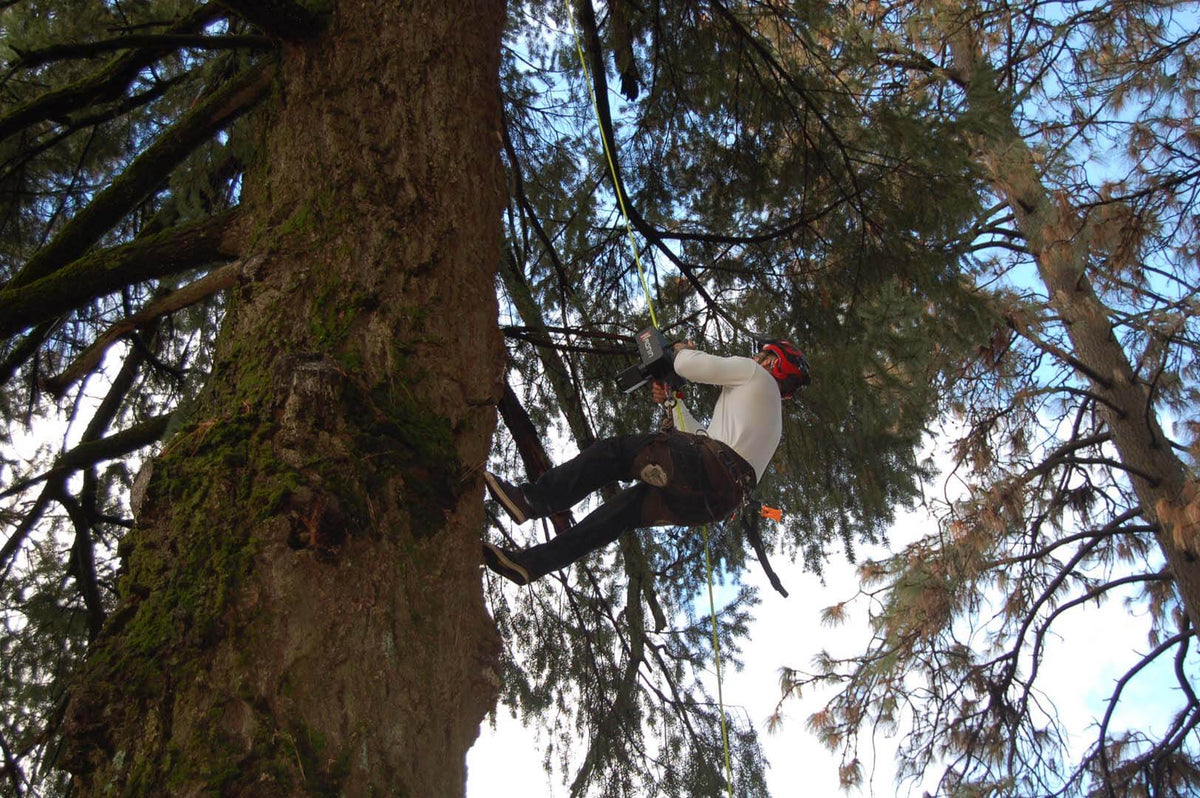 Rope Ascender - imagen 18