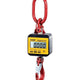 Yale TKL Crane Weigher with Digital Display